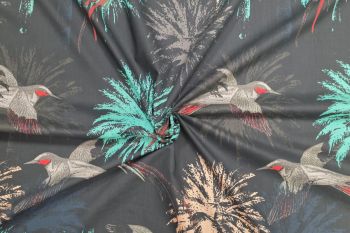 Panama Quetzel - Dusk