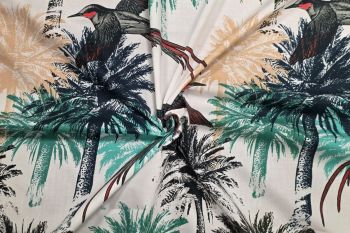 Panama Quetzel - Dawn