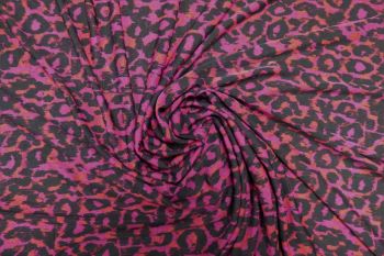 Magenta Wild
