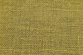 PRE-ORDER Antique Linen - Moss Green