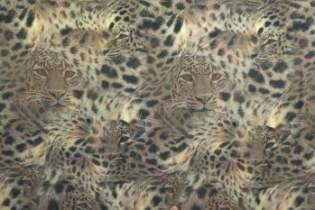 Panthera Mirage - Viscose Challis Lawn