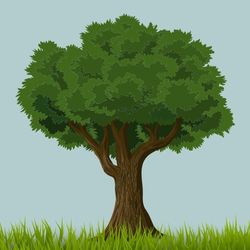 The Tree